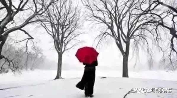 c68bc7addac87bcd85ab7a83232239d1.jpg